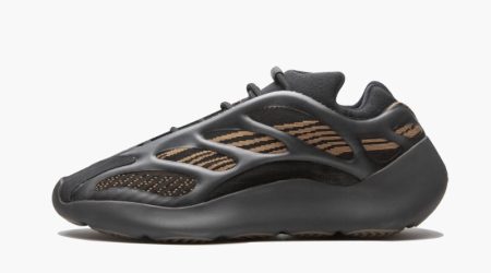 Yeezys 700 V3 "Clay Brown"