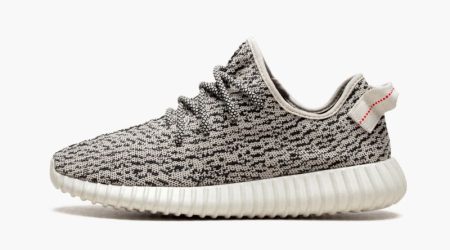 Yeezys Boost 350 "Turtle Dove"