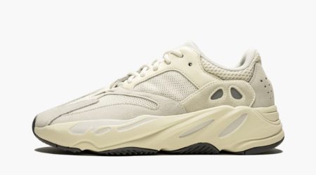 Yeezys Boost 700 "Analog"